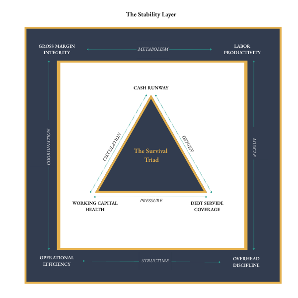 The Four Biomarkers That Reveal Whether Your Business Runs By Design or By Accident